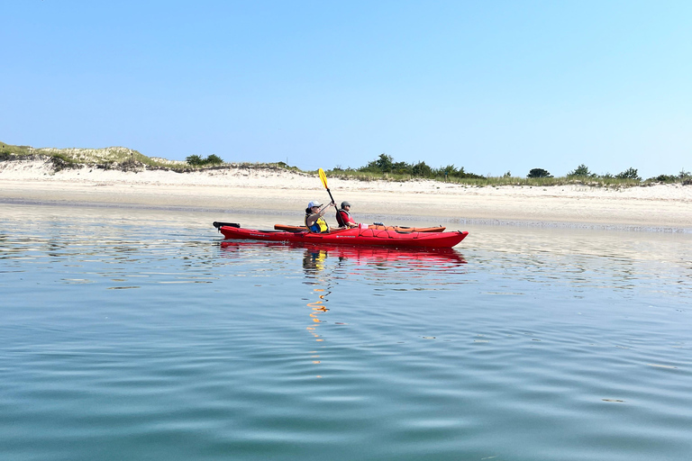 From Boston: Guided Kayak Adventure at the Crane Estate
