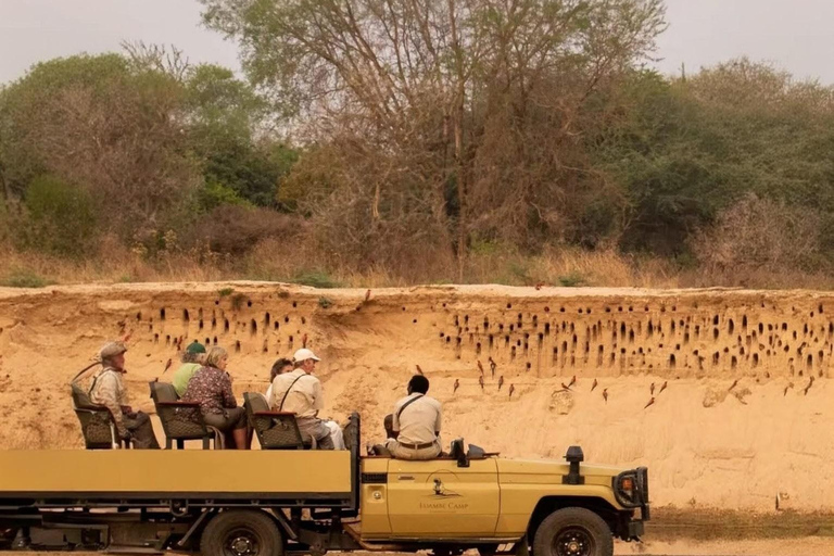 From Livingstone: Chobe National Park Game Drive