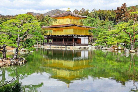 Kyoto/Osaka: Private Kyoto and Nara Tour with Tea Ceremony