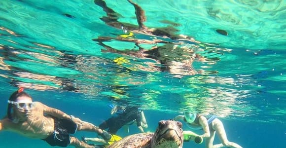 Paphos Turtle-Watching Snorkeling Sea Scooter Trip wh guides