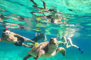Paphos: Sightseeing Tours