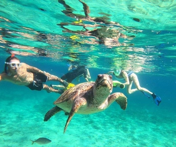 Paphos : Excursion en scooter de mer pour observer les tortues et faire de la plongée en apnée