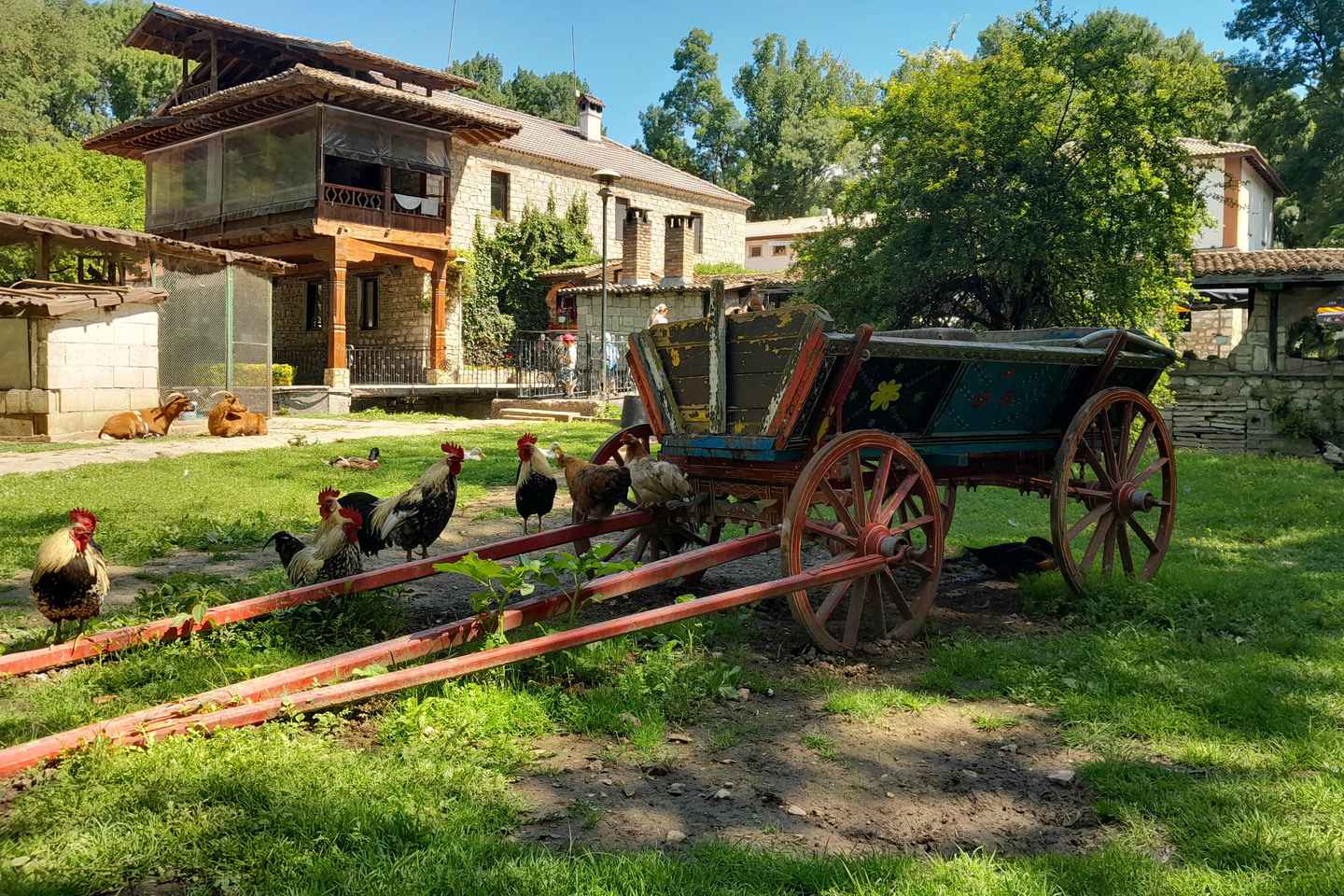 Varna: Guided VIP Tour