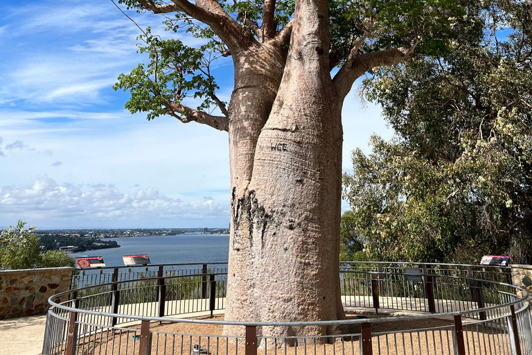 Perth: Tour panoramico con Swan River e Fremantle