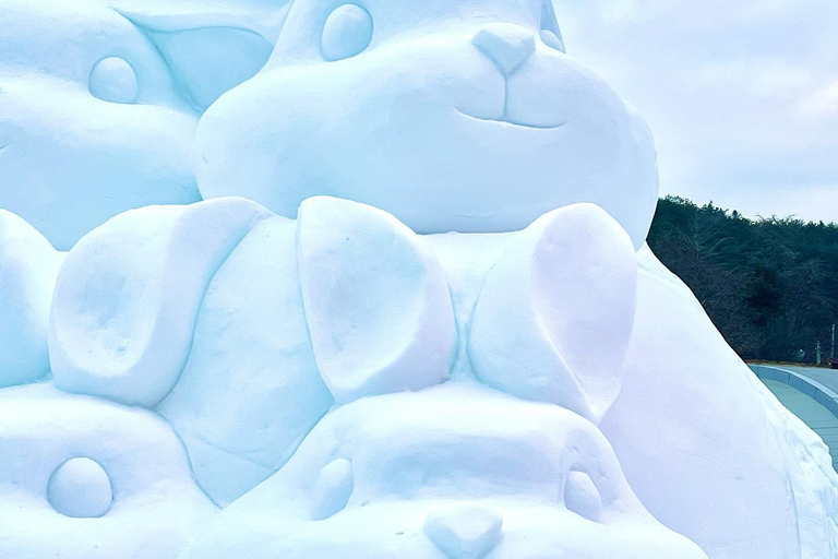 Cheongyang Ice Fountain Festival with Strawberry Picking Depart from Myeongdong Station Exit 3