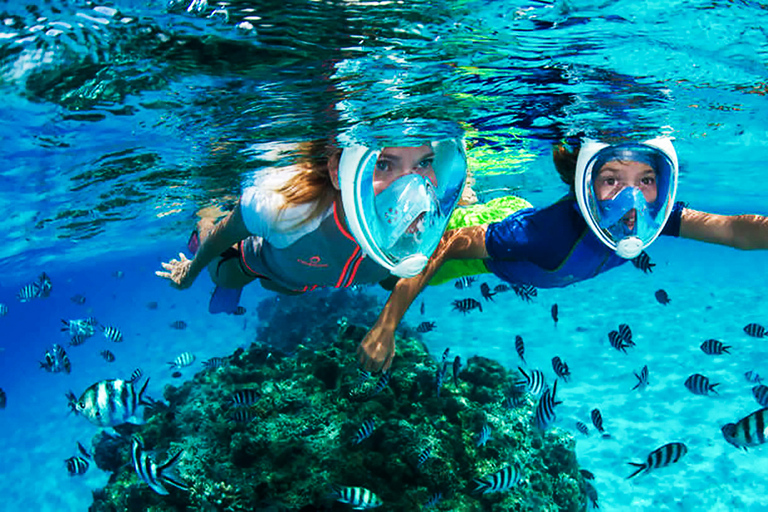 Puerto del Carmen: Tour in motoscafo con nuoto per osservare i delfiniLanzarote: minicrociera con avvistamento di delfini