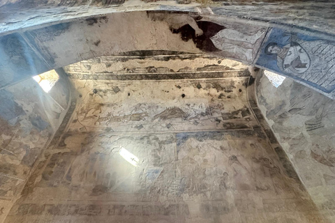 Amman: Desert Castles Shaumari Wildlife Private Day Trip