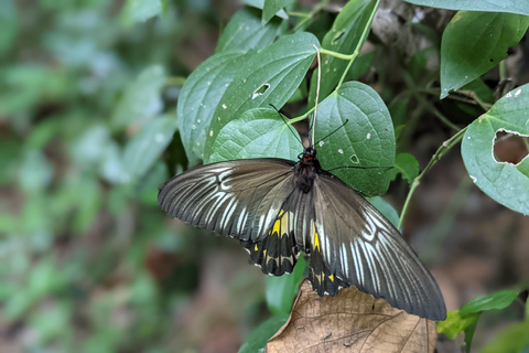 Avventura escursionistica a Dolukanda – La roccia curativa di Aristhana