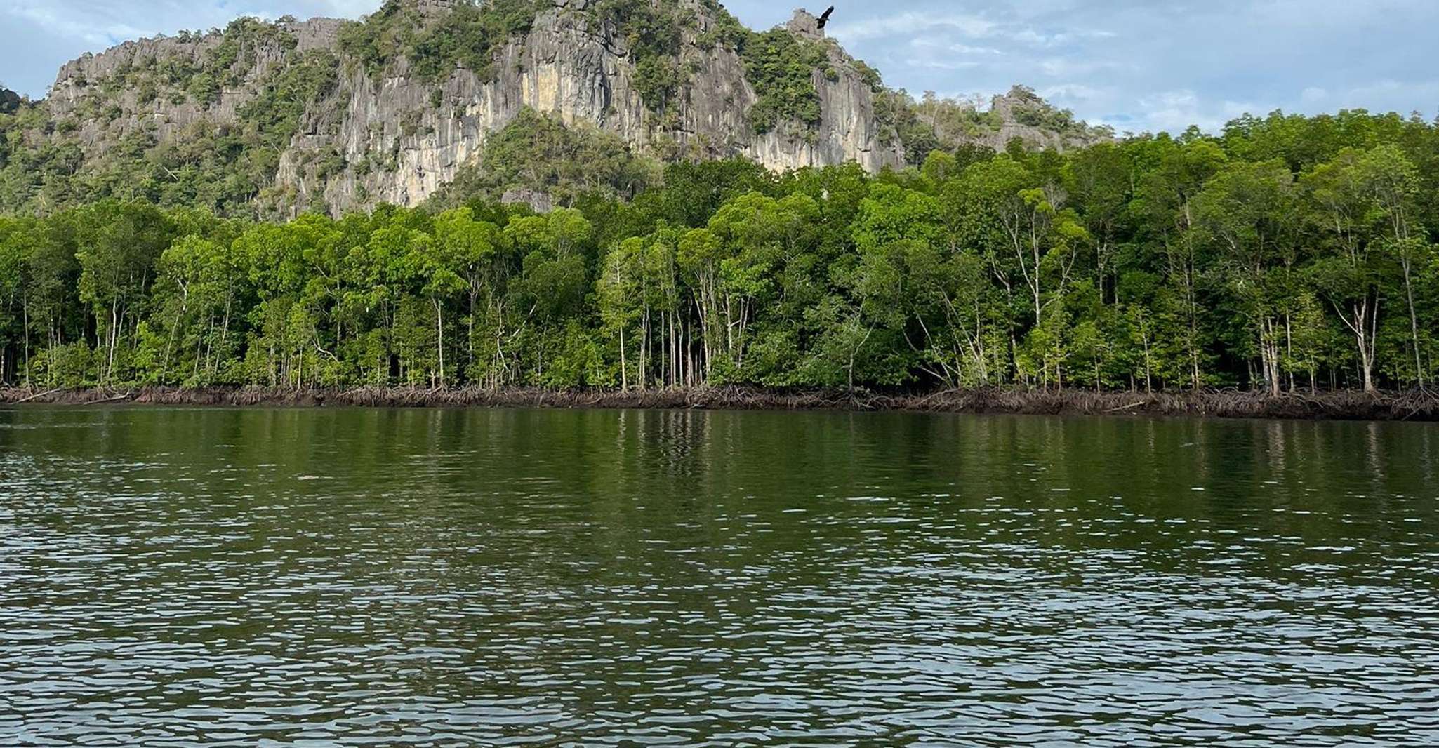 Mangrovetour em Langkawi, Estimativa de 4 horas (Privado) - Hizvo