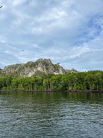 Mangrovetour à Langkawi, estimation de 4 heures (privée) - Hizvo