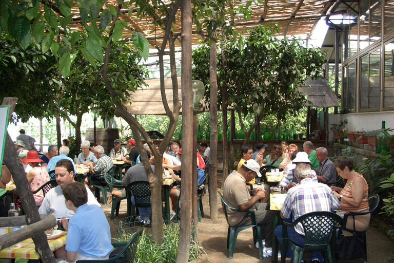 Sorrento: Walking Tour in Lemon Garden w/ Food Tasting