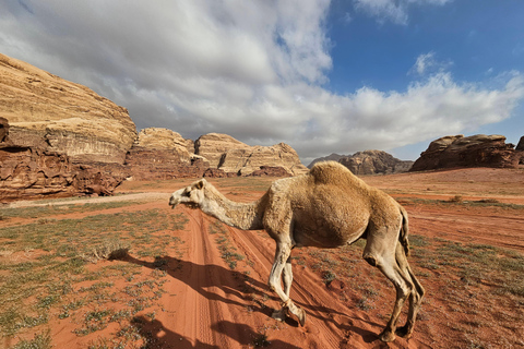 Wadi Rum: Beyond Tourist Route Full Day & Micro-Camp Stay