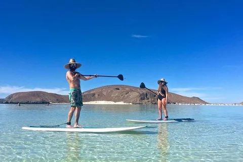 From La Paz: Espiritu Santo Island Adventure