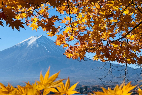 Tokyo: Private Daytrip to Mount Fuji - Fully Customizable Mt Fuji Private Luxury Van Tour (Customizable Experience)
