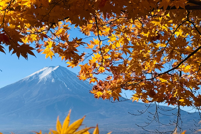 Tokyo: Private Daytrip to Mount Fuji - Fully Customizable Mt Fuji Private Luxury Van Tour (Customizable Experience)
