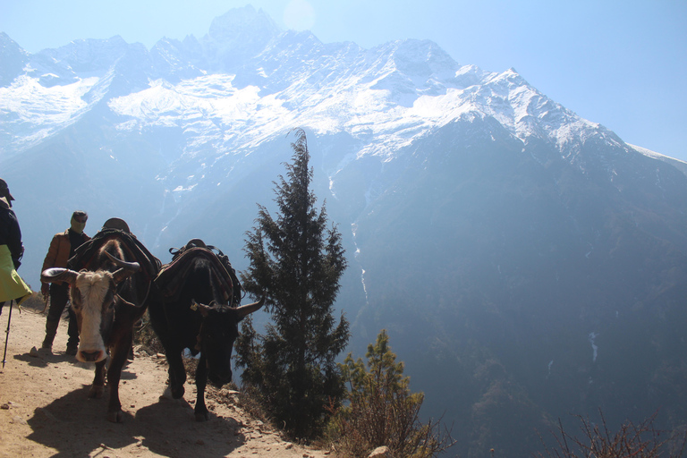 Lukla: 11-Day Everest Base Camp Trek from Lukla with Guide