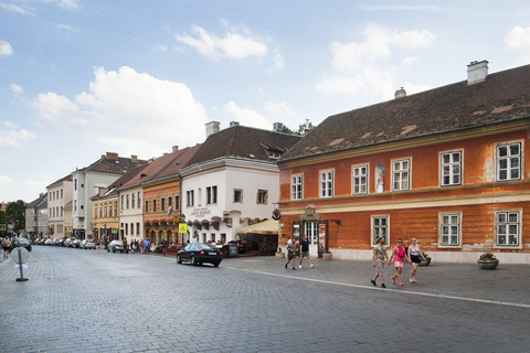 Zamek Buda: Prywatna wycieczka piesza po niemieckuPrywatna wycieczka po niemiecku