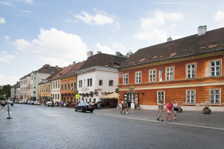 Buda Castle: Private Walking Tour in German Private Tour in German