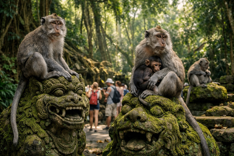 Ubud/Bali: Private Art & Culture Tour with Lunch & Transfers