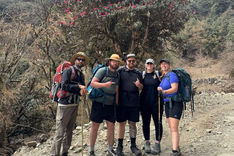 Pokhara: 4-Day Ghorephani and Poon Hill Private Trek