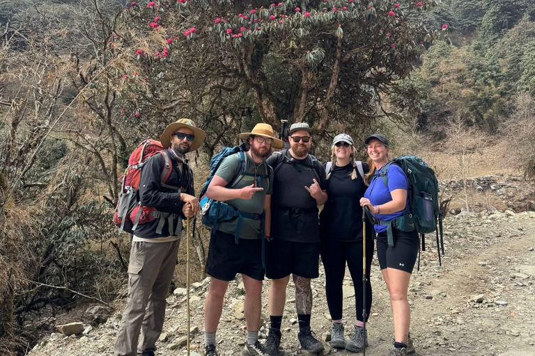 Pokhara: 4-Day Ghorephani and Poon Hill Private Trek
