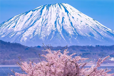 Vanuit Tokio: Mt Fuji Instagram-waardige Engelse dagvullende tour