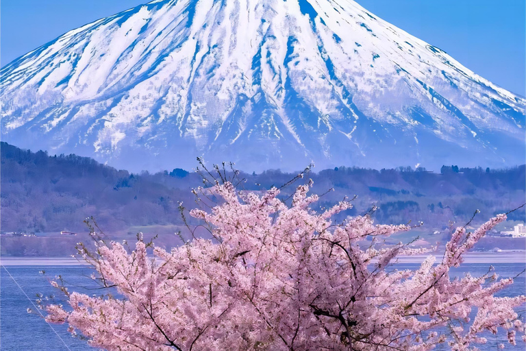 Desde Tokio: Tour en inglés de un día entero por el Monte Fuji digno de Instagram