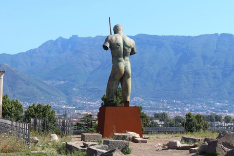 Rome: Pompeii Day Trip Guided Tour with New Excavation Areas