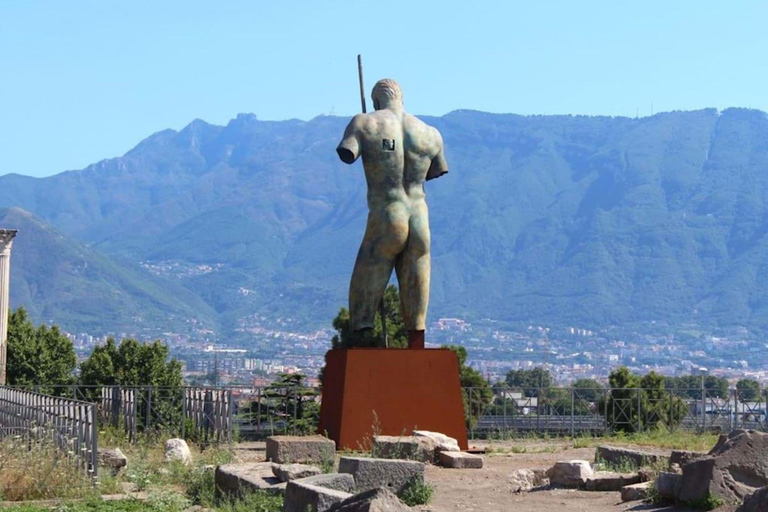 Rome: Pompeii Day Trip Guided Tour with New Excavation Areas