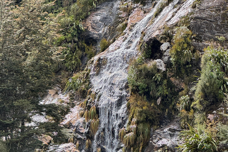 Discovery Cruise Te Anau Fiordland Discovery Cruise