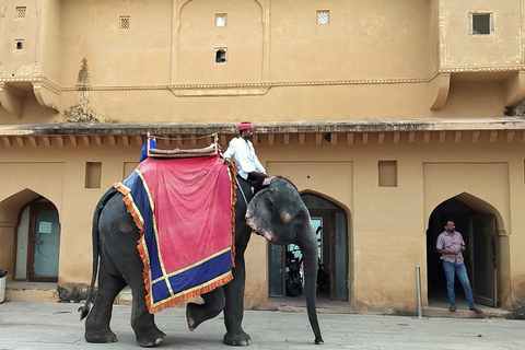 Au départ d&#039;Agra : Circuit de 5 jours au Rajasthan avec Ranthambore