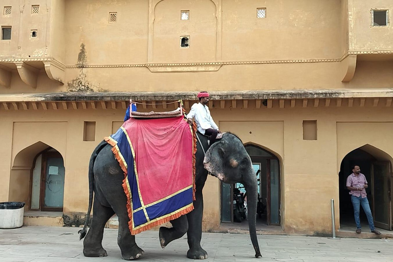 Au départ d&#039;Agra : Circuit de 5 jours au Rajasthan avec Ranthambore