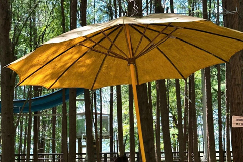 Hangzhou Qingshan Lake Water‑Forest Private Day Tour Ticket + Deer‑Feeding | Separate Driver & Guide
