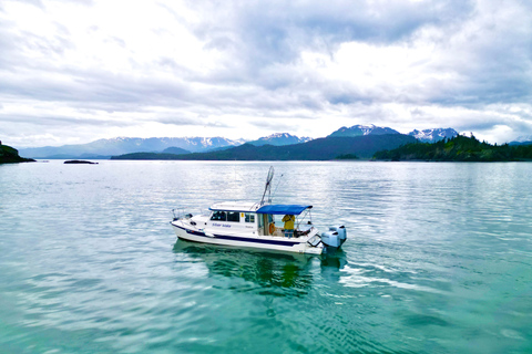 Homer, Alaska: Touring Kachemak Bay Tour