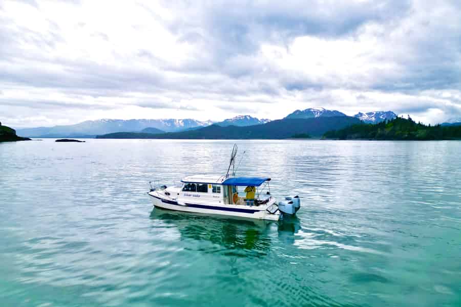 Homer, Alaska: Tour durch die Kachemak Bay. Foto: GetYourGuide Homer, Alaska: Tour durch die Kachemak Bay. Foto: GetYourGuide