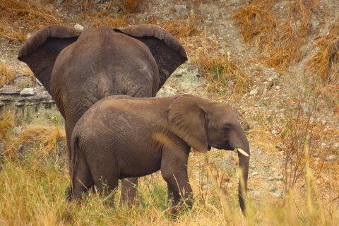 4 Tage: Die Wunder von Tansania.