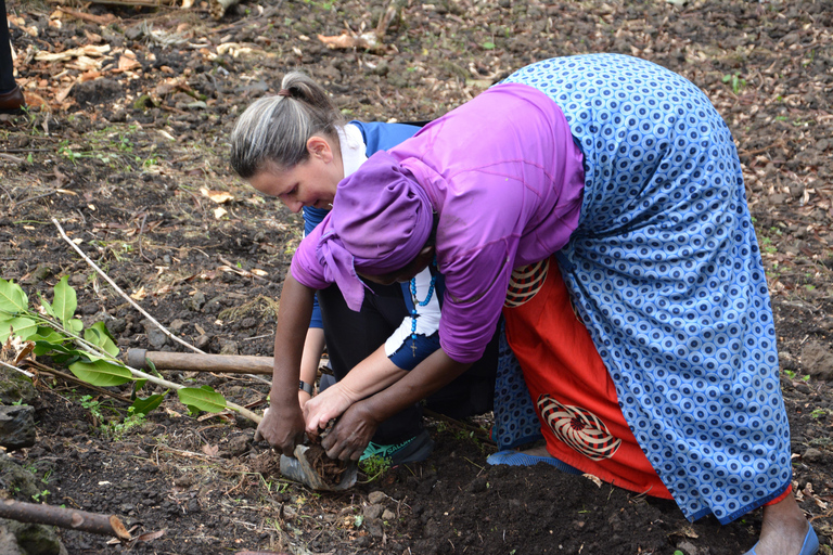 4-Day Rwanda golden monkey and Culture Safari 4-Day Rwanda golden monkey and Culture Safaris