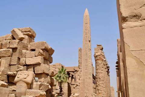 Visite privée de l&#039;avenue des sphinx depuis Louxor