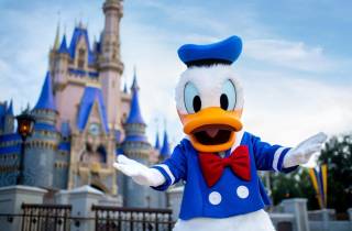 Orlando: Walt Disney World Ticket mit "Park Hopper Plus"-Option