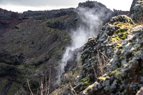 From Naples Pompeii and Vesuvius guided day trip with lunch