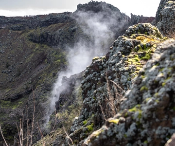 From Naples: Pompeii and Vesuvius Guided Day Trip with Lunch