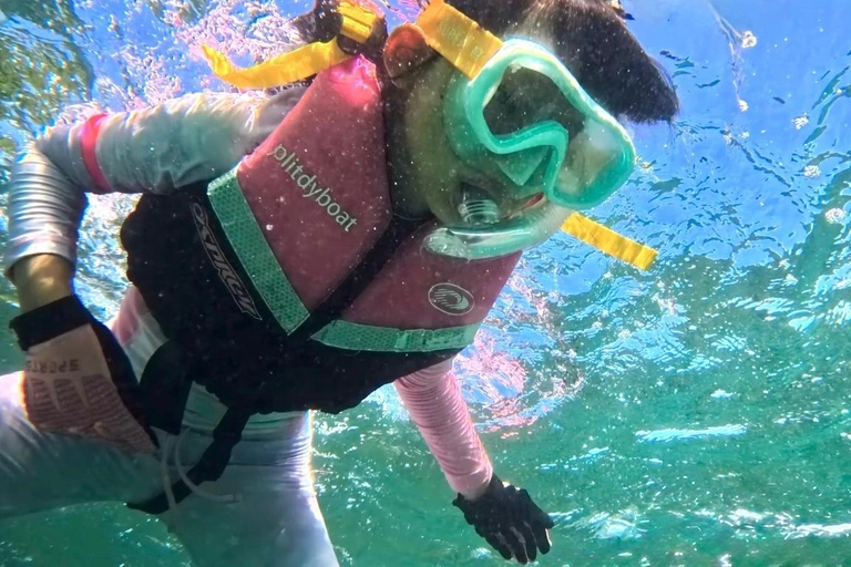 Hong Kong Sai Kung NEMO Clownfish Snorkeling Tour 【Private Tour】Hong Kong: NEMO Clownfish Snorkeling Tour