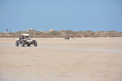 Djerba: Avontuur en spanning in een buggy - 1u30