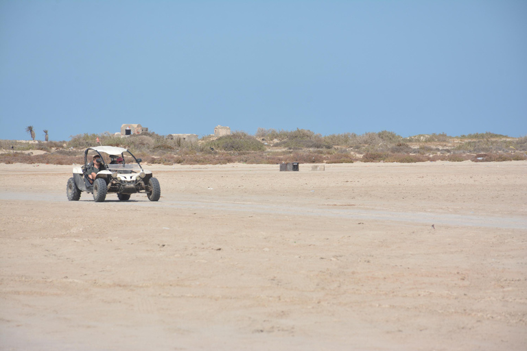 Djerba : Äventyr och spänning i en buggy - 1h30