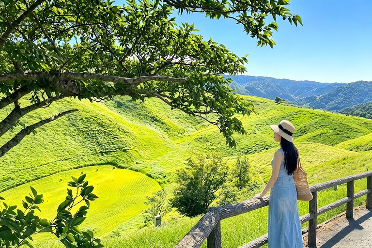 Small Group Day Tour:Omuro Mountain & the Izu Scenic Railway Hotel Transfer Option