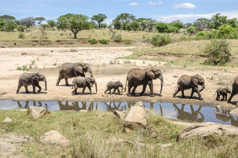 Arusha: 6-Day Tanzanian Nature Walk and Wildness Adventure