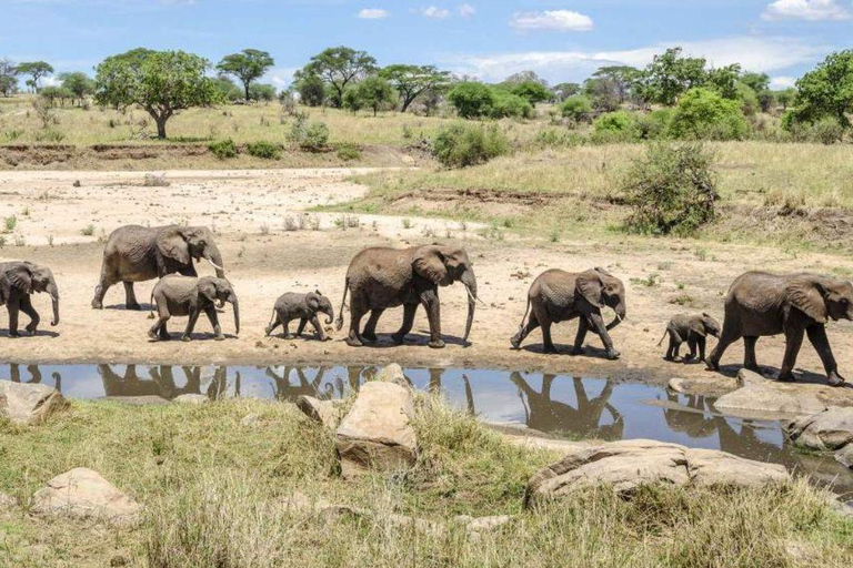 Arusha: 6-Day Tanzanian Nature Walk and Wildness Adventure