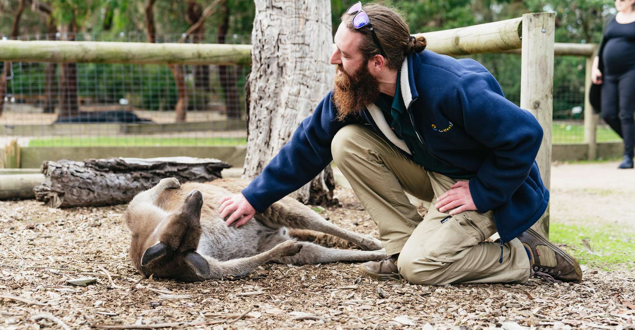 Phillip Island Penguin Parade with Expert Local Guide photo 7