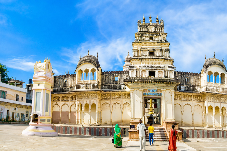 From Delhi: Golden Triangle Private Tour with Safari 7-days Golden Triangle Tour without Hotels & Tickets