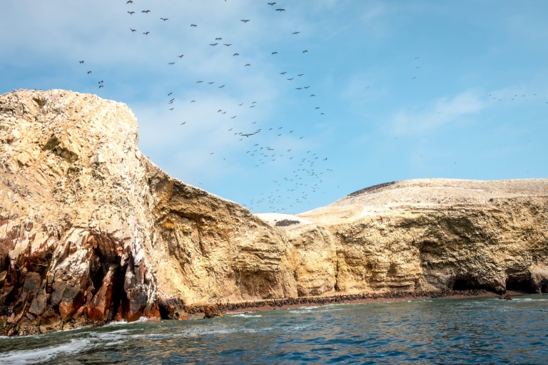 Z Paracas: Obserwacja dzikiej przyrody na wyspie Ballestas